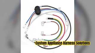 Custom Steam and Oven Appliance Wiring Harness Solutions